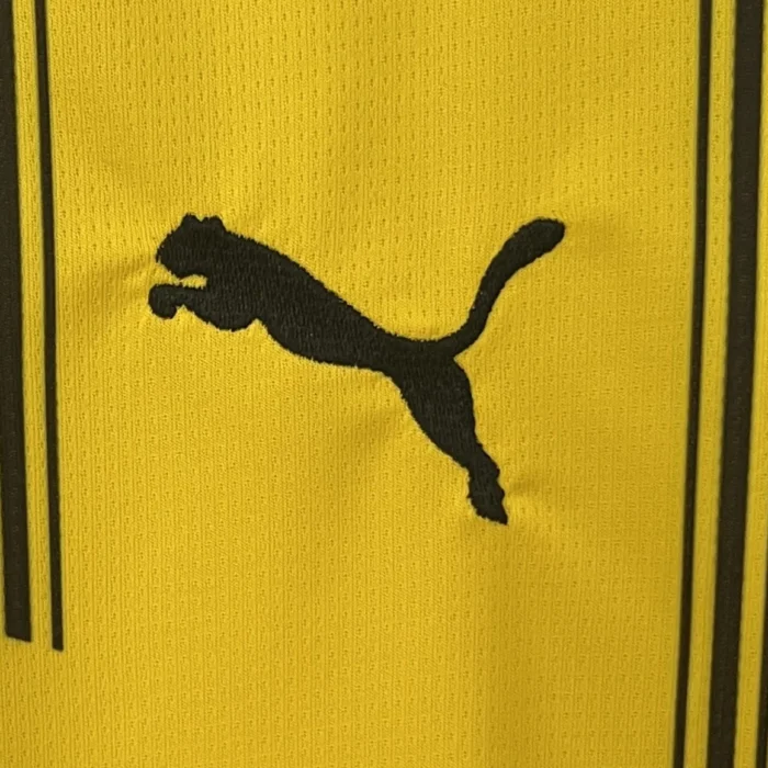 Borussia Dortmund 24-25 Home Fans Jersey