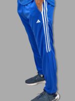 India T20 Cricket Track Pant